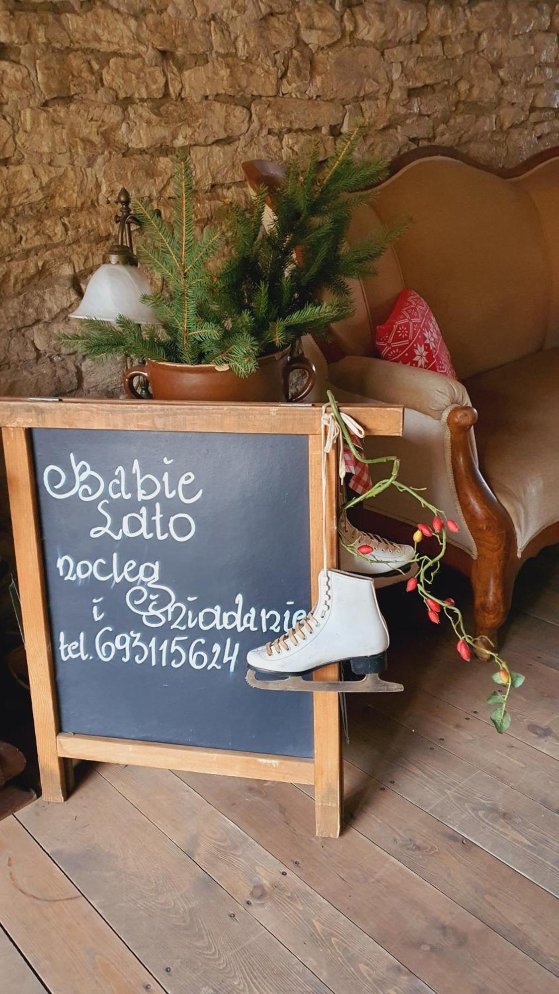 Babie Lato B&B Uniejów Eksteriør billede